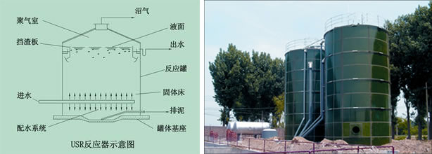 USR反應(yīng)??02.jpg USR反應(yīng)??02.jpg